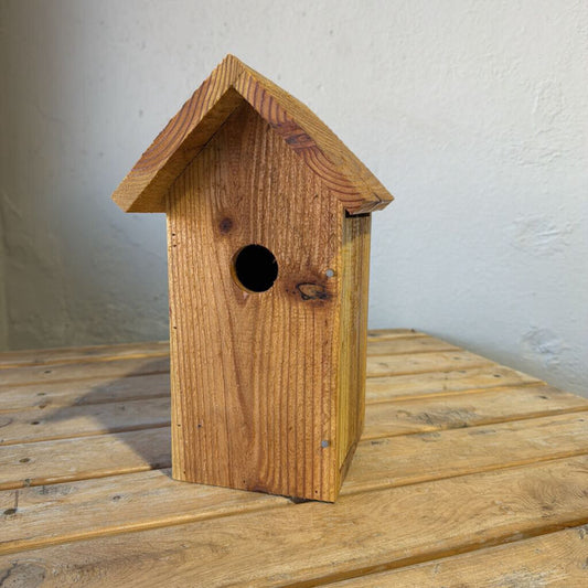 Eastern Bluebird Nest Box